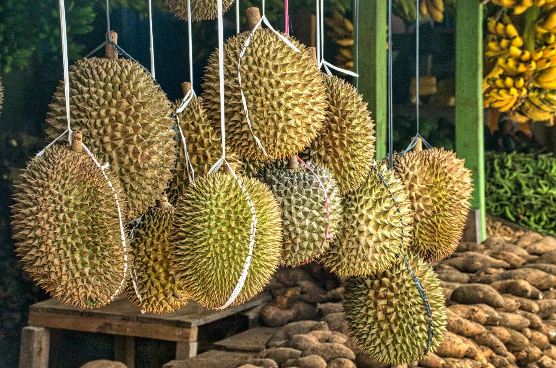 frutas exoticas, frutas da asia, frutas tropicais - durian