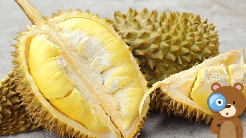 Conheça a Fruta mais Estranha do Mundo - Durian
