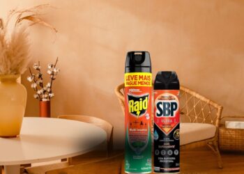 Produtos Raid e SBP inseticidas dispostos sobre mesa de madeira clara em ambiente decorado com vasos e plantas secas, mostrando embalagens de aerossol para controle de pragas domésticas. Sbp mata aranha