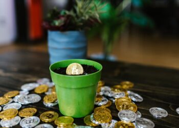 Criptomoedas para Iniciantes: Tudo o Que Você Precisa Saber Antes de Investir em 2025